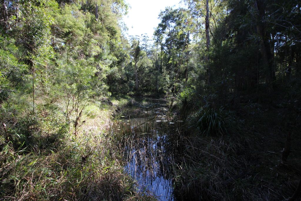 114 Crowther Drive, KUNDABUNG NSW 2441
