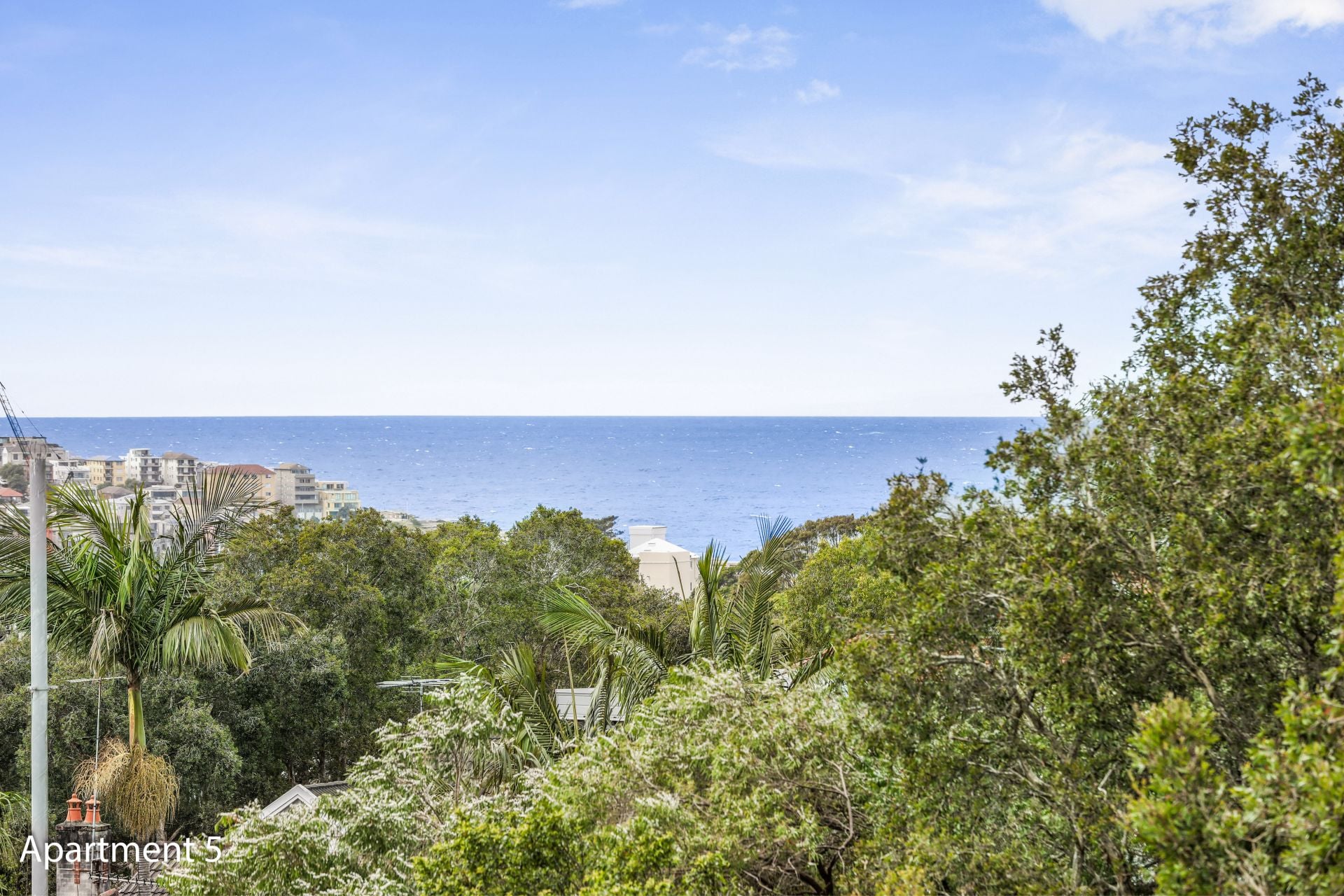 61 Simpson Street, Bondi Beach, Bondi Beach - Thumbnail 7