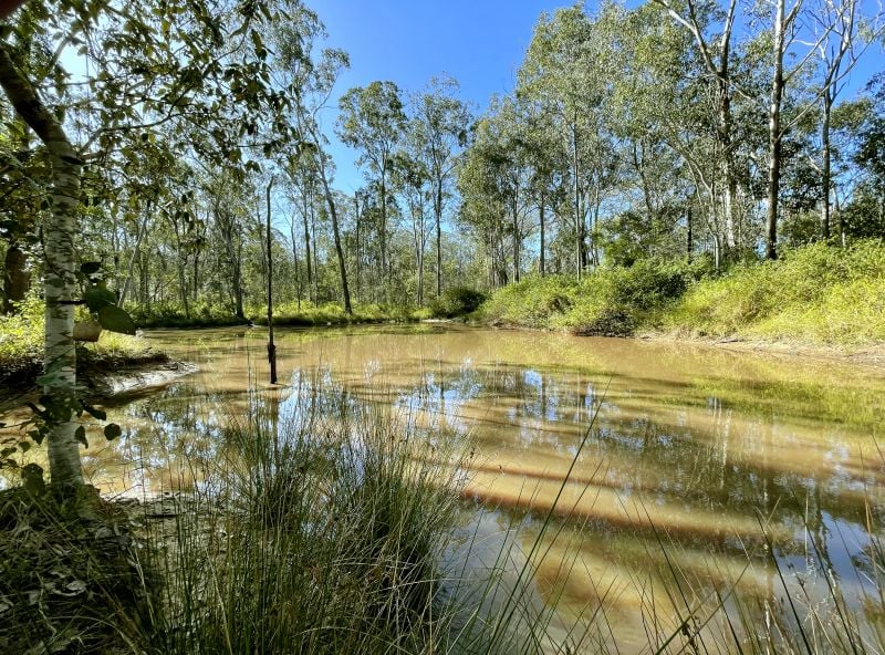 Build your own Sanctuary!