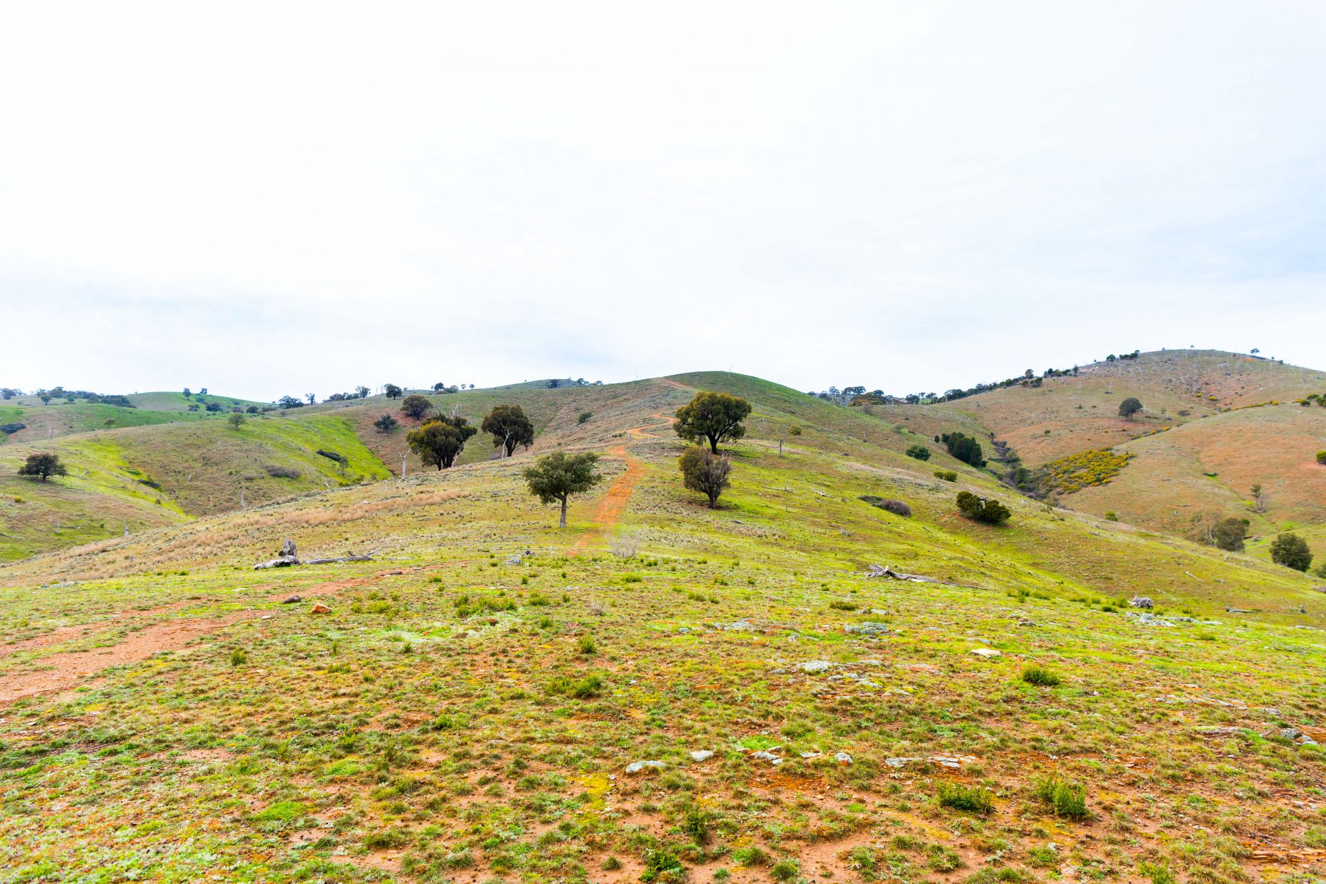148 Mount Darling Road, Wyangala NSW, Wyangala - Thumbnail 7