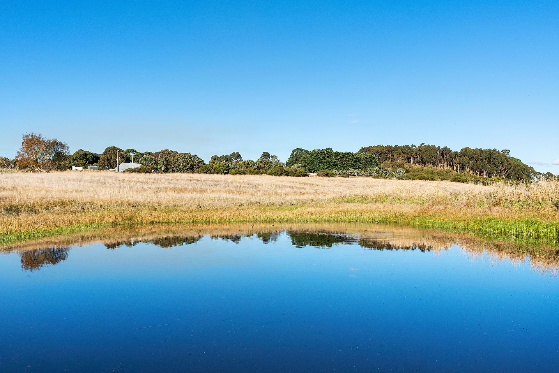 Real Estate For Sale Lot 3/ WillauraWickliffe Road Wickliffe , VIC