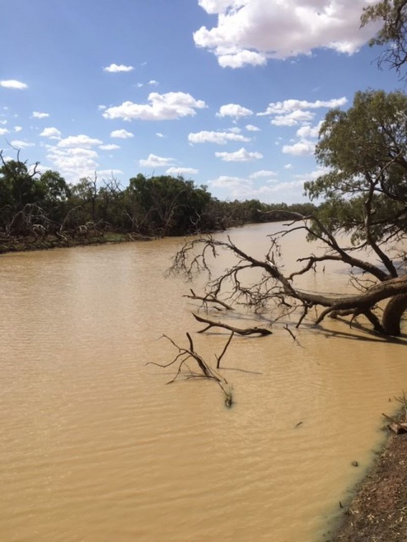 Leisure For Sale 322 Weir Road Cunnamulla QLD Property HQ