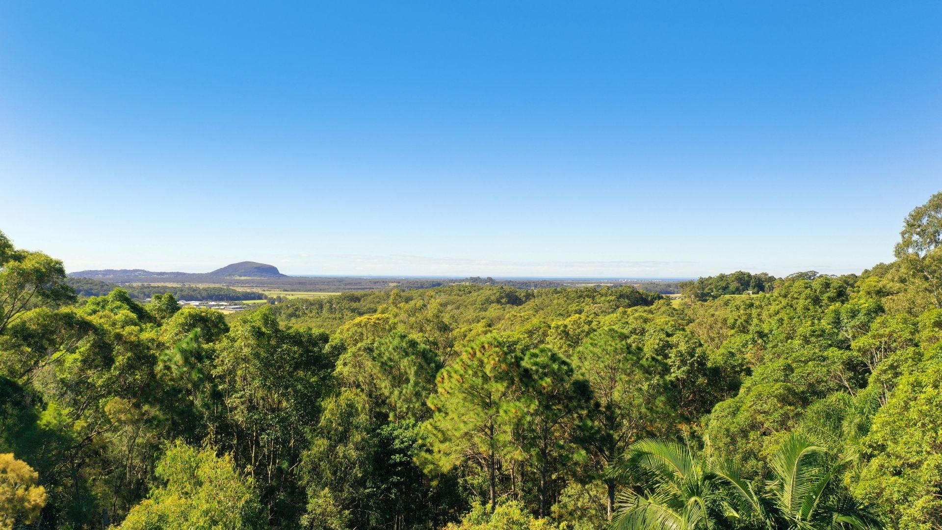 6 Cygnus Place Bli Bli QLD, Bli Bli - Thumbnail 3