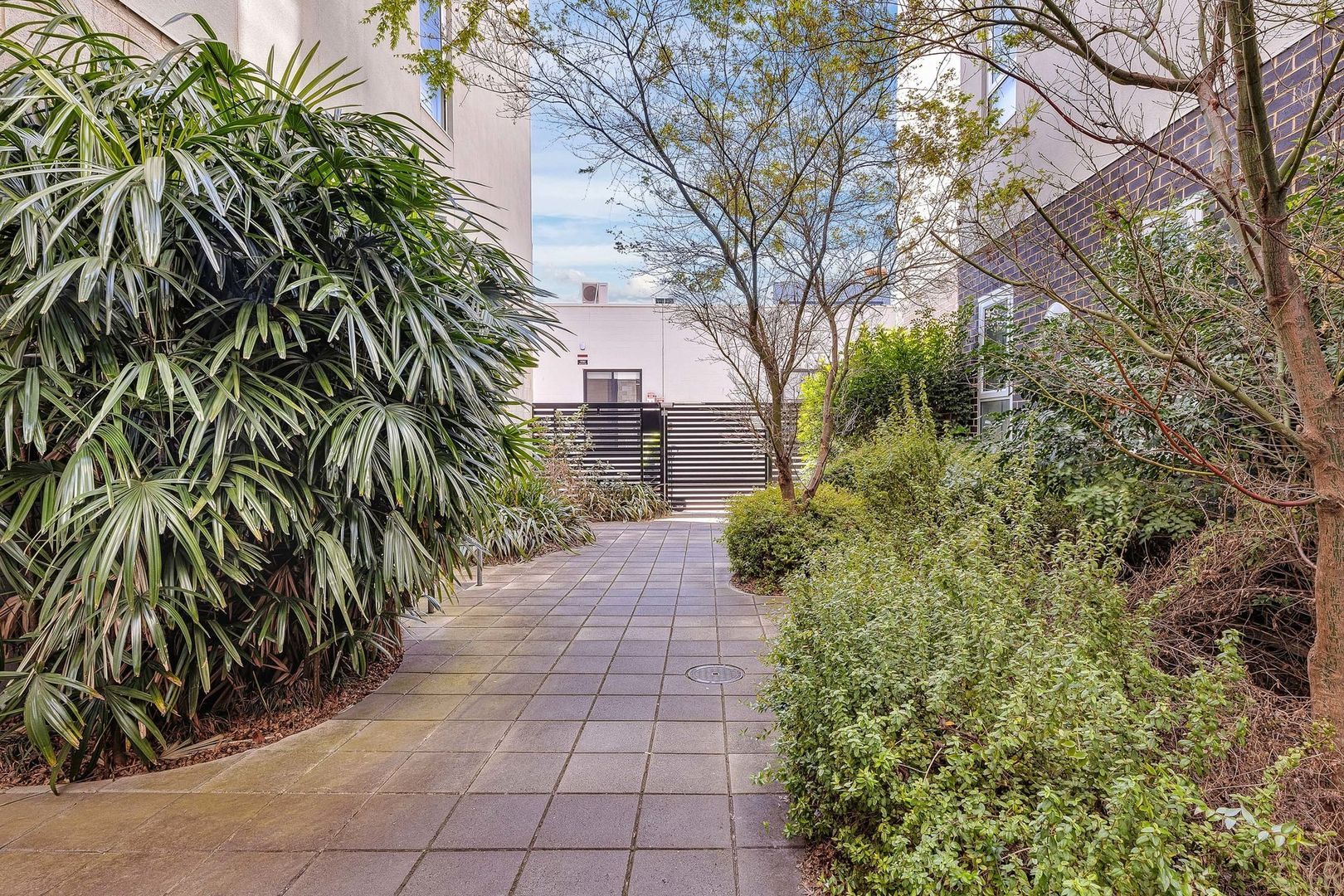 103/31 Frew Street Adelaide 5000