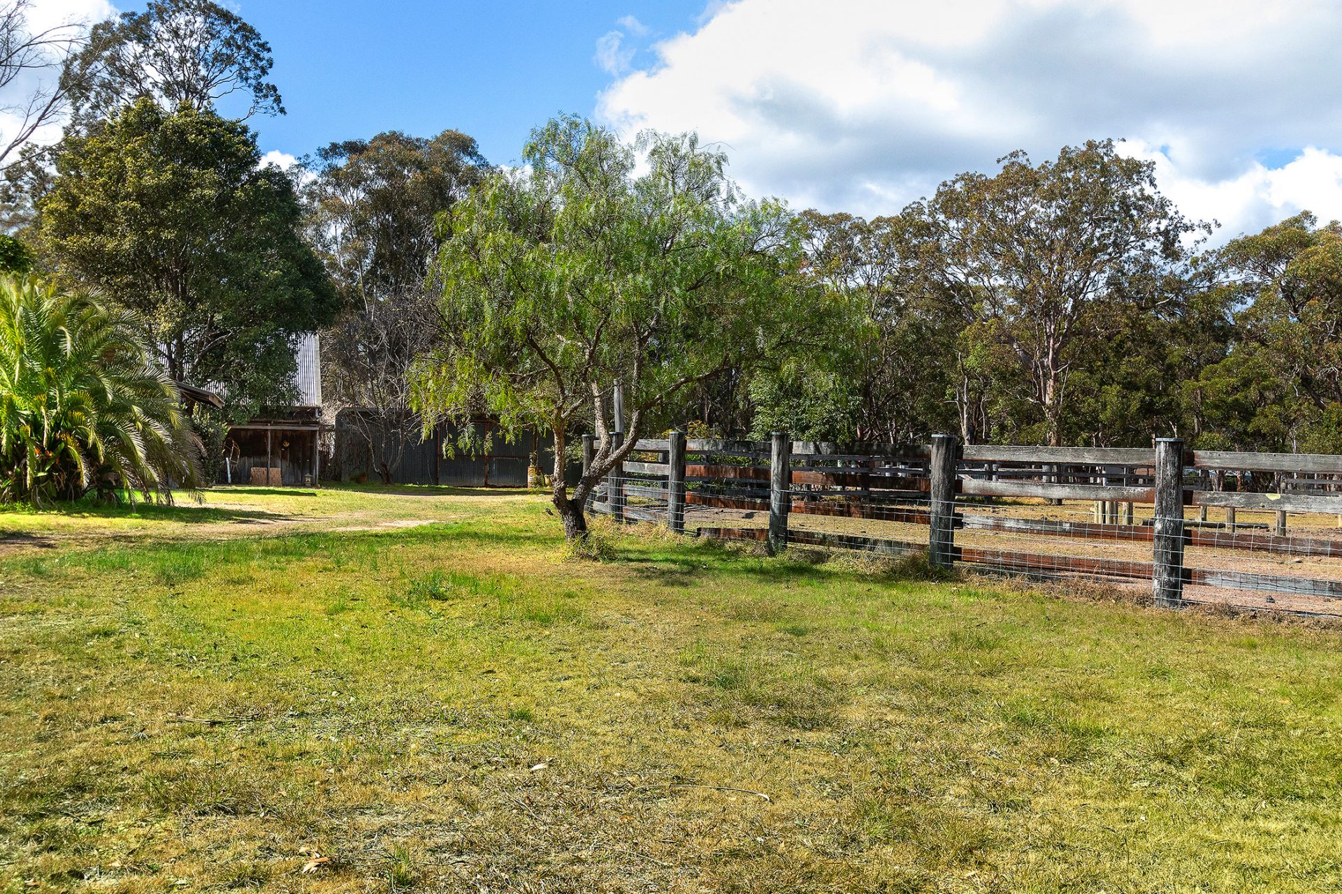Real Estate For Sale 679 Sandy Creek Road Quorrobolong , NSW
