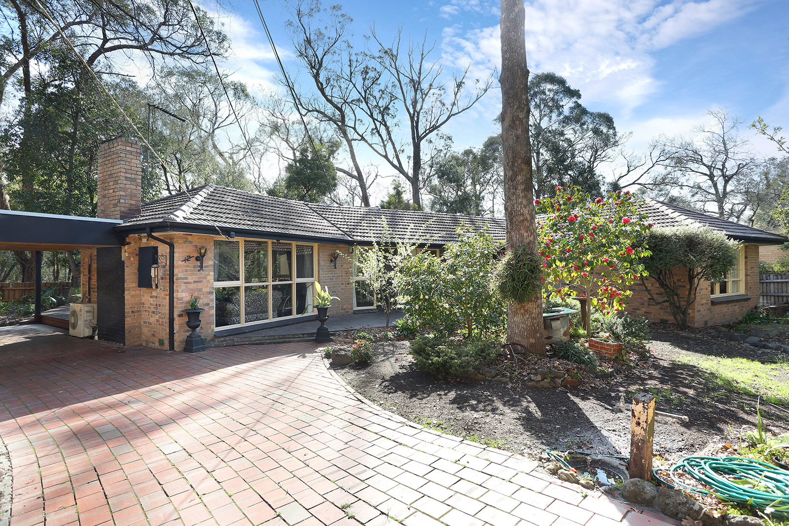 12 Lillis Court, RINGWOOD EAST, VIC, 3135 House buyMyplace