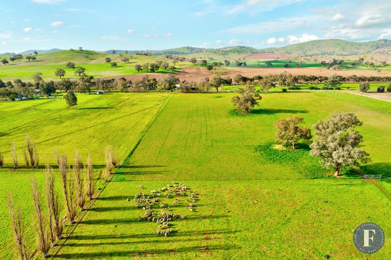 1593 Muttama Road, Muttama NSW, Muttama - Thumbnail 3