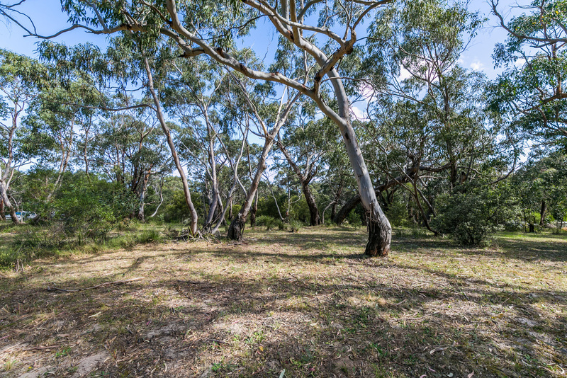 54 Aireys Street, Aireys Inlet, VIC, Aireys Inlet - Thumbnail 6