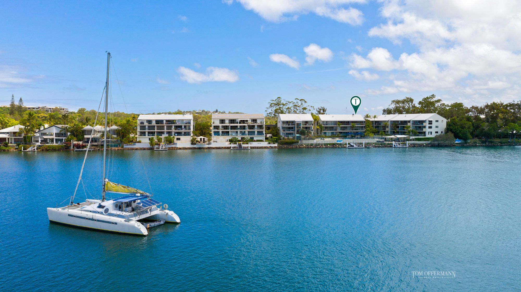 Wasabi noosa for sale