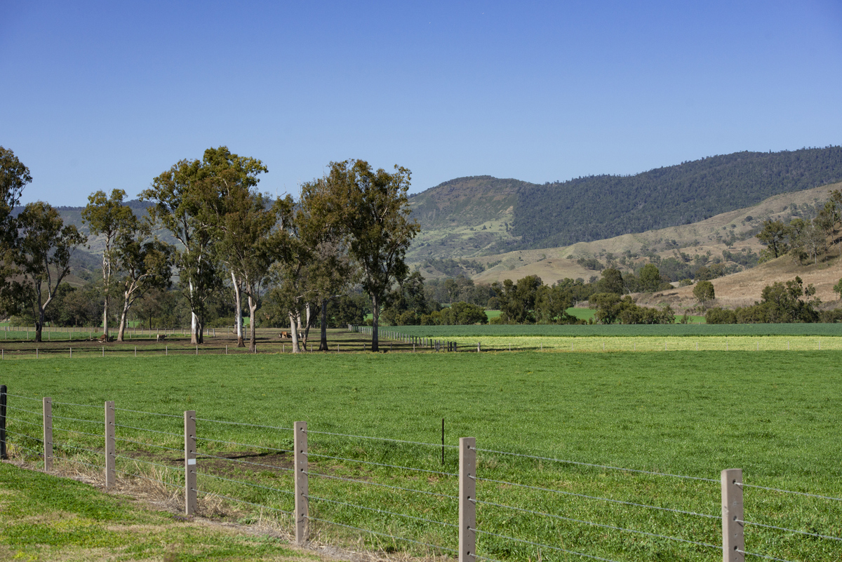 Real Estate For Sale 1179 Running Creek Road Running Creek , QLD