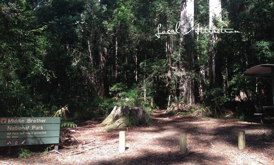 122 Algona, MIDDLE BROTHER NSW 2443