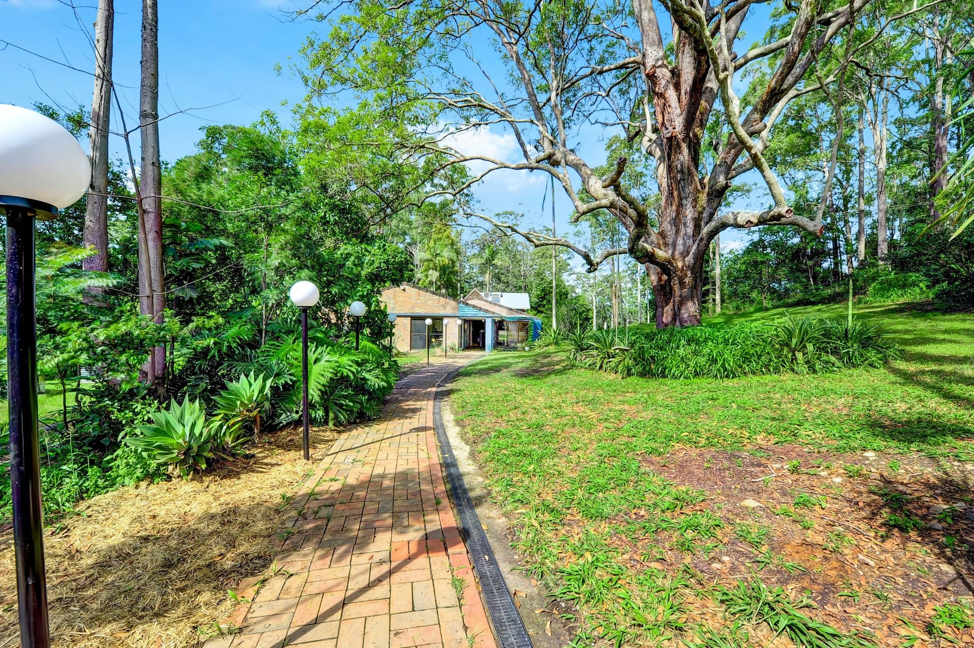 171 Ballengara Bransdon Road Cooperabung NSW, Cooperabung - Thumbnail 3