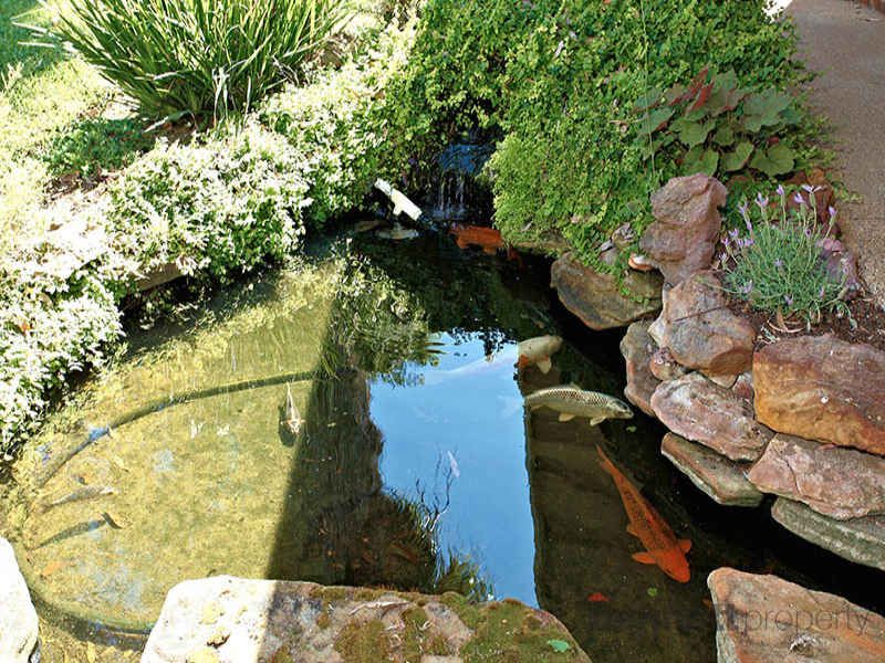 SOUTH WINDSOR, NSW, South Windsor - Thumbnail 4