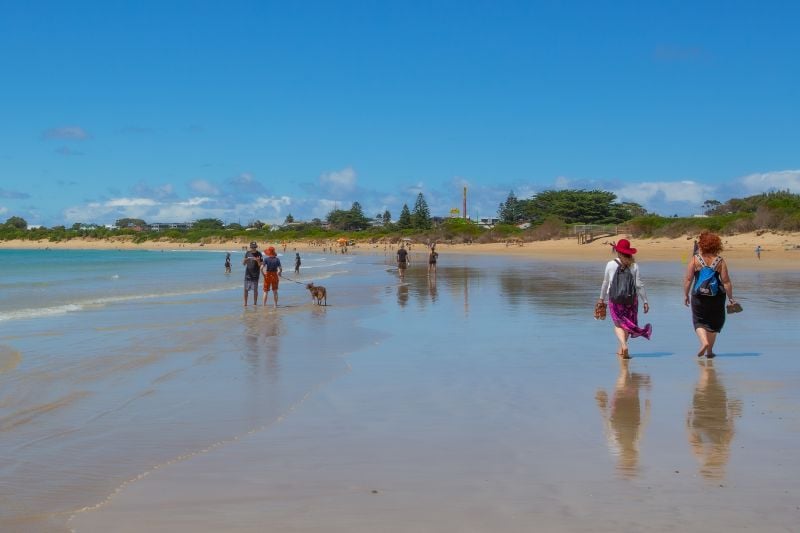 9 Nigel Court, Apollo Bay, VIC, Apollo Bay - Thumbnail 6