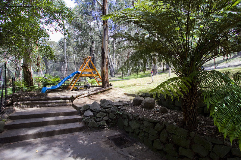 69 Deans Marsh Road, Lorne, VIC, Lorne - Thumbnail 8
