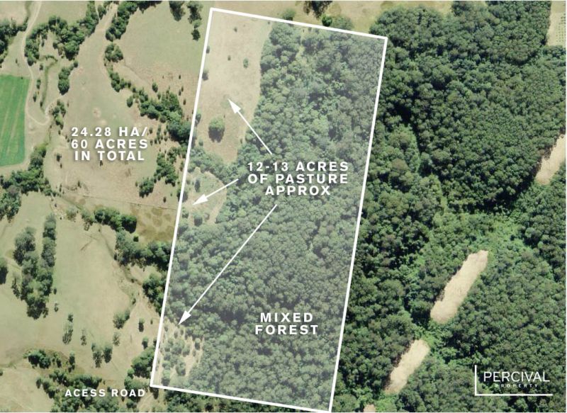 138/ Neilson Lane Lorne NSW, Lorne - Thumbnail 4