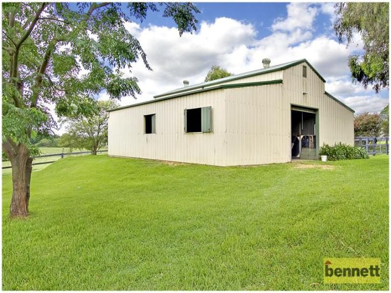 139 Pitt Town Road, McGraths Hill - Thumbnail 4