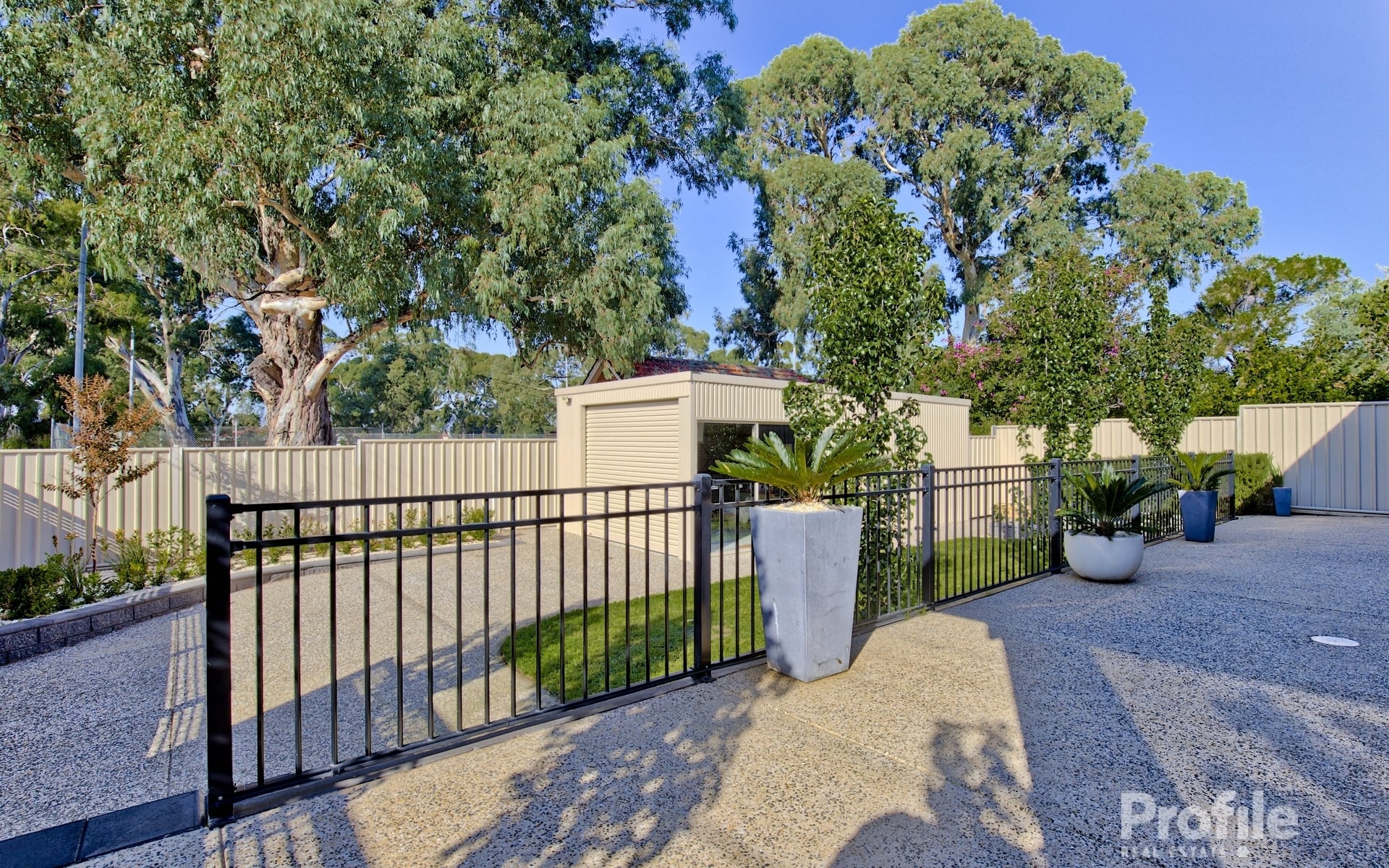 12 Malurus Avenue Lockleys 5032