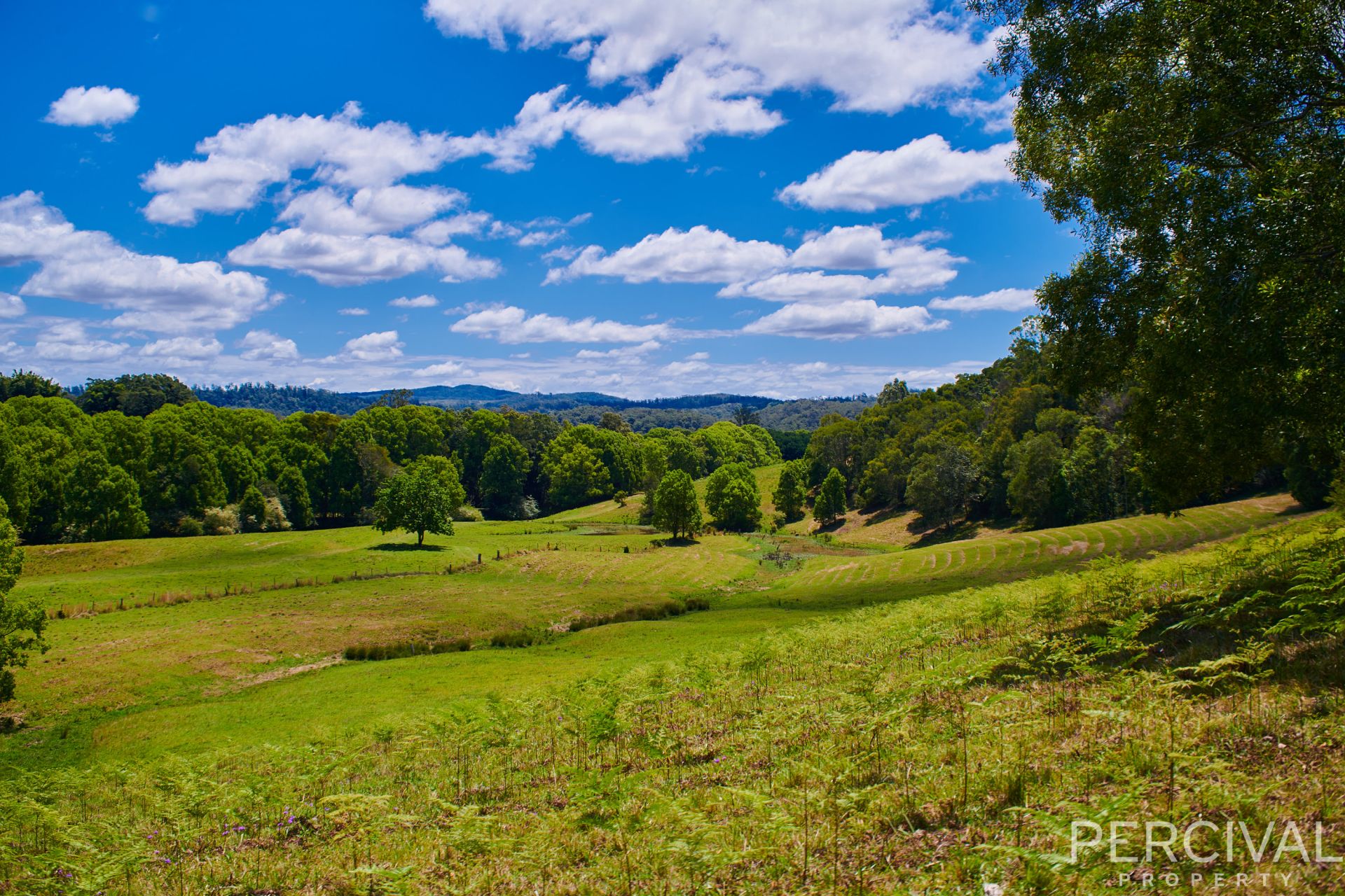 Lot 97 & Lorne Road Upsalls Creek NSW, Upsalls Creek - Thumbnail 8