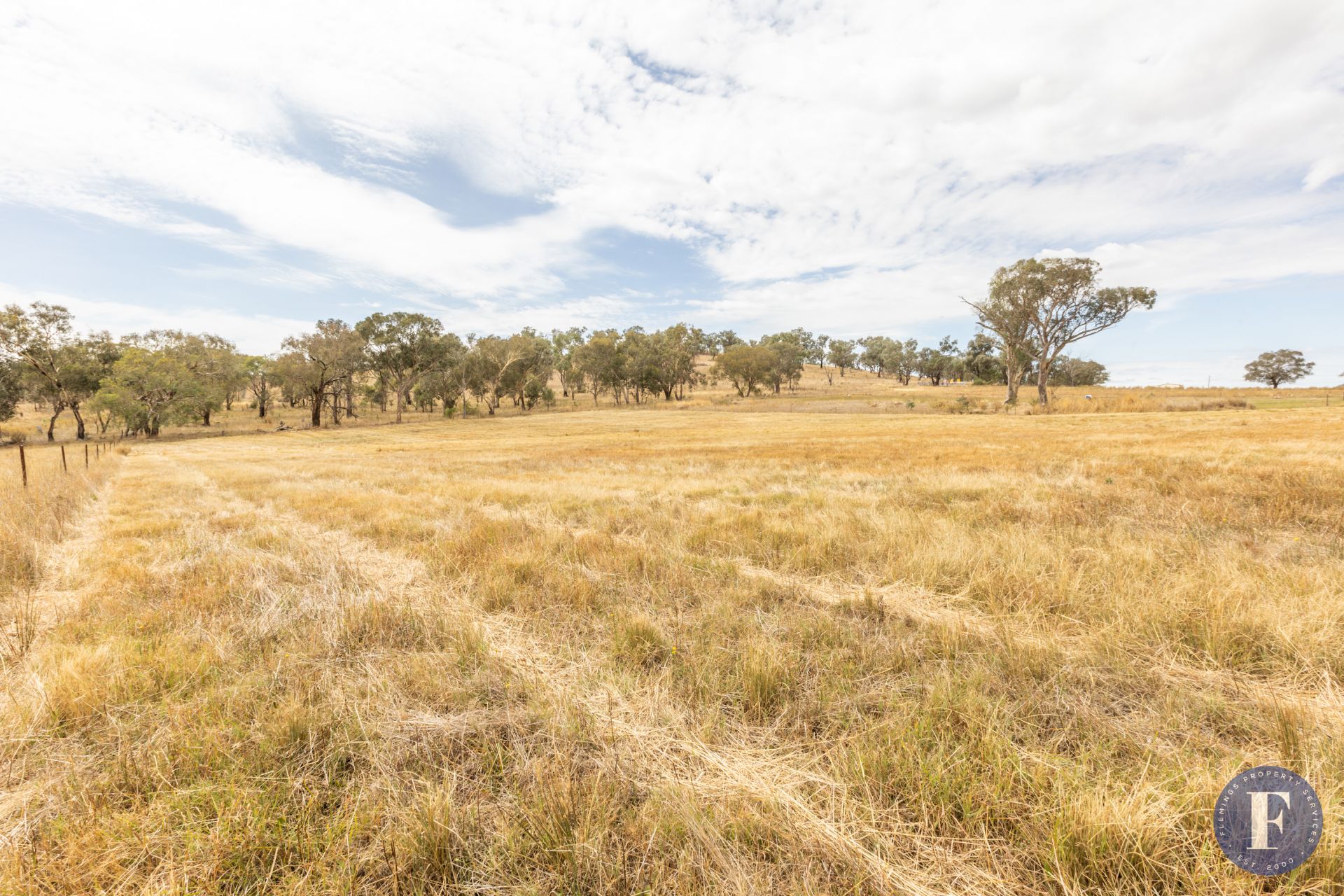 42 Dowling Drive, Murringo NSW, Murringo - Thumbnail 3