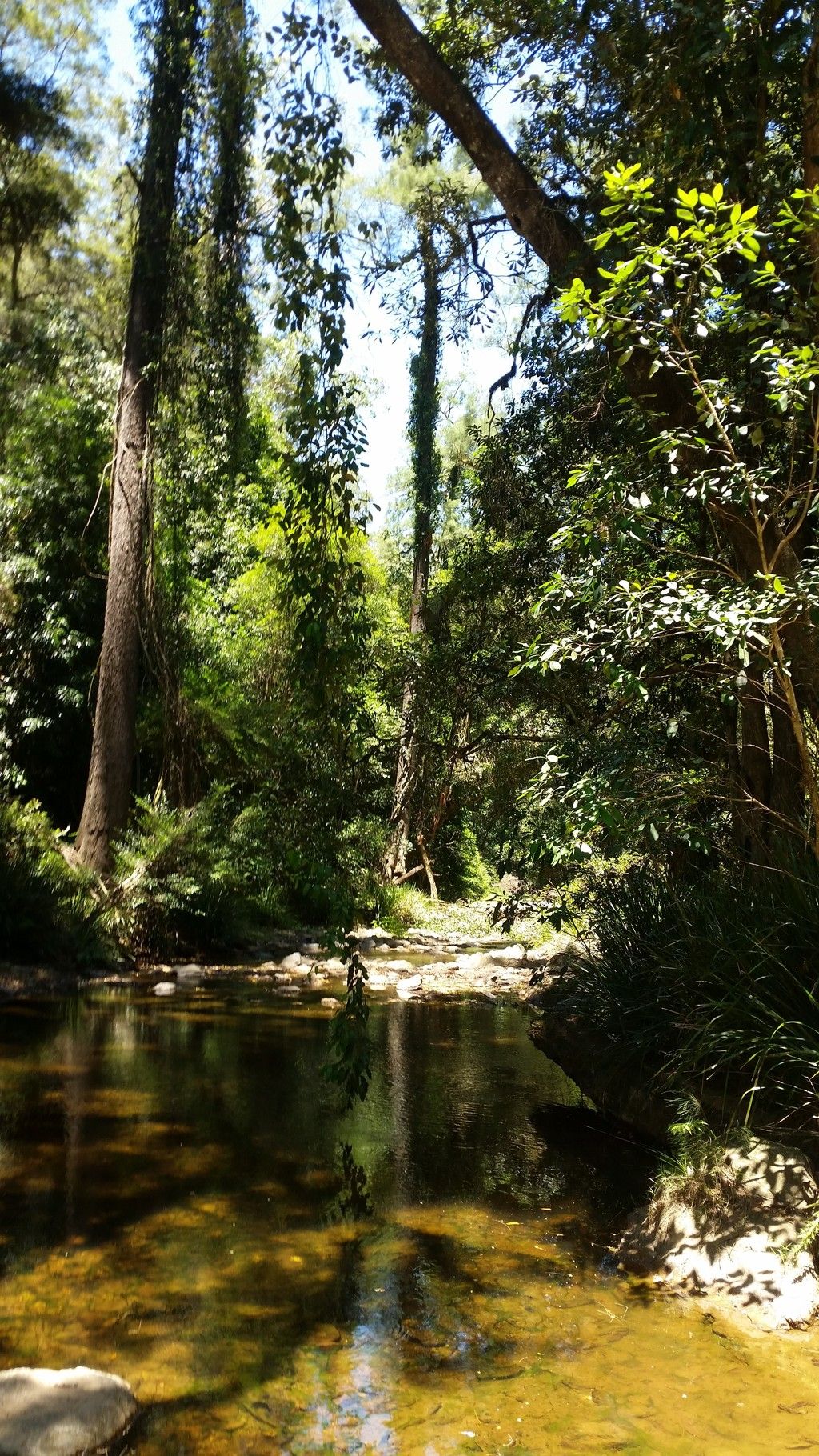 , YARROWITCH NSW 2354