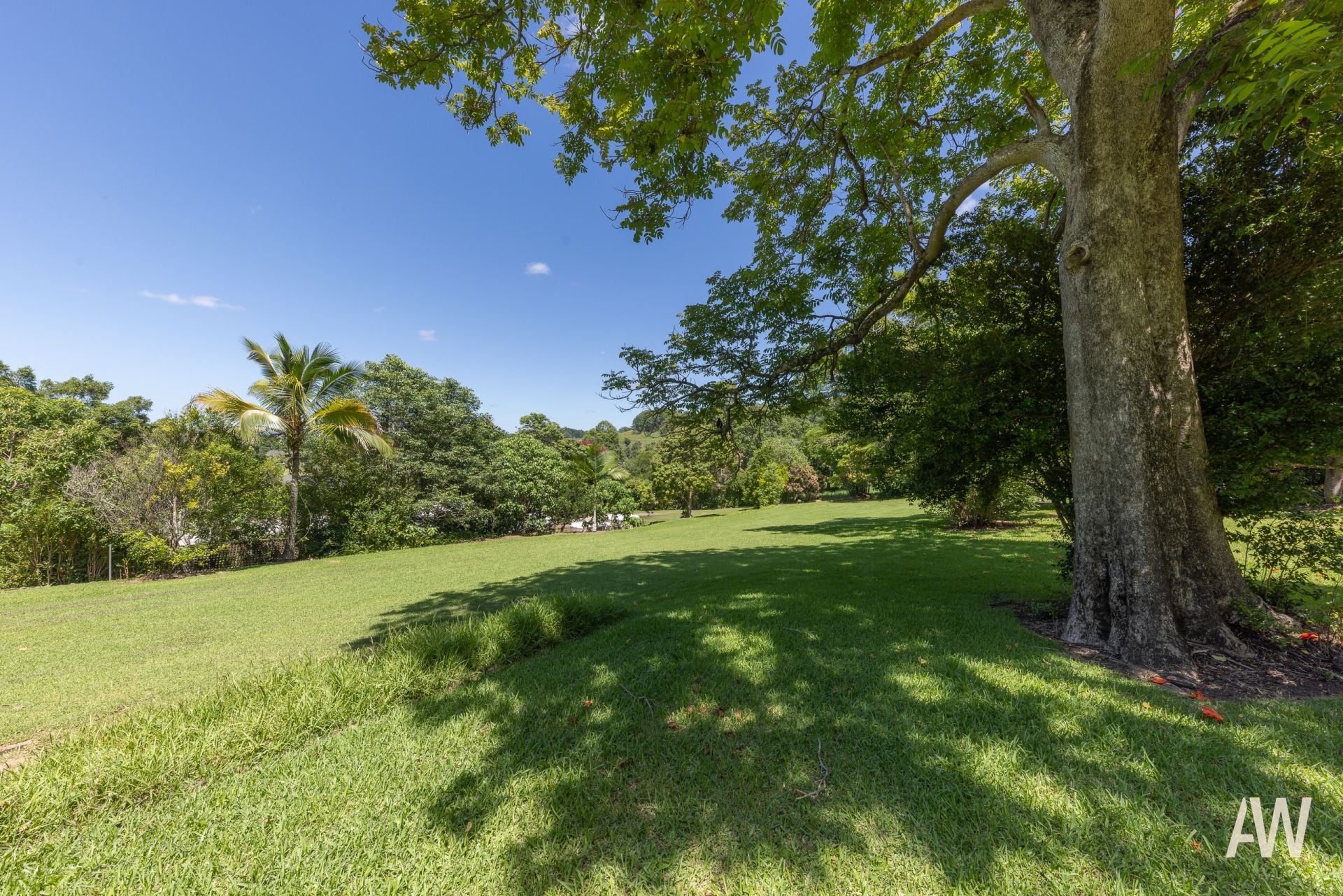 271 Paynters Creek Road Rosemount QLD, Rosemount - Thumbnail 2