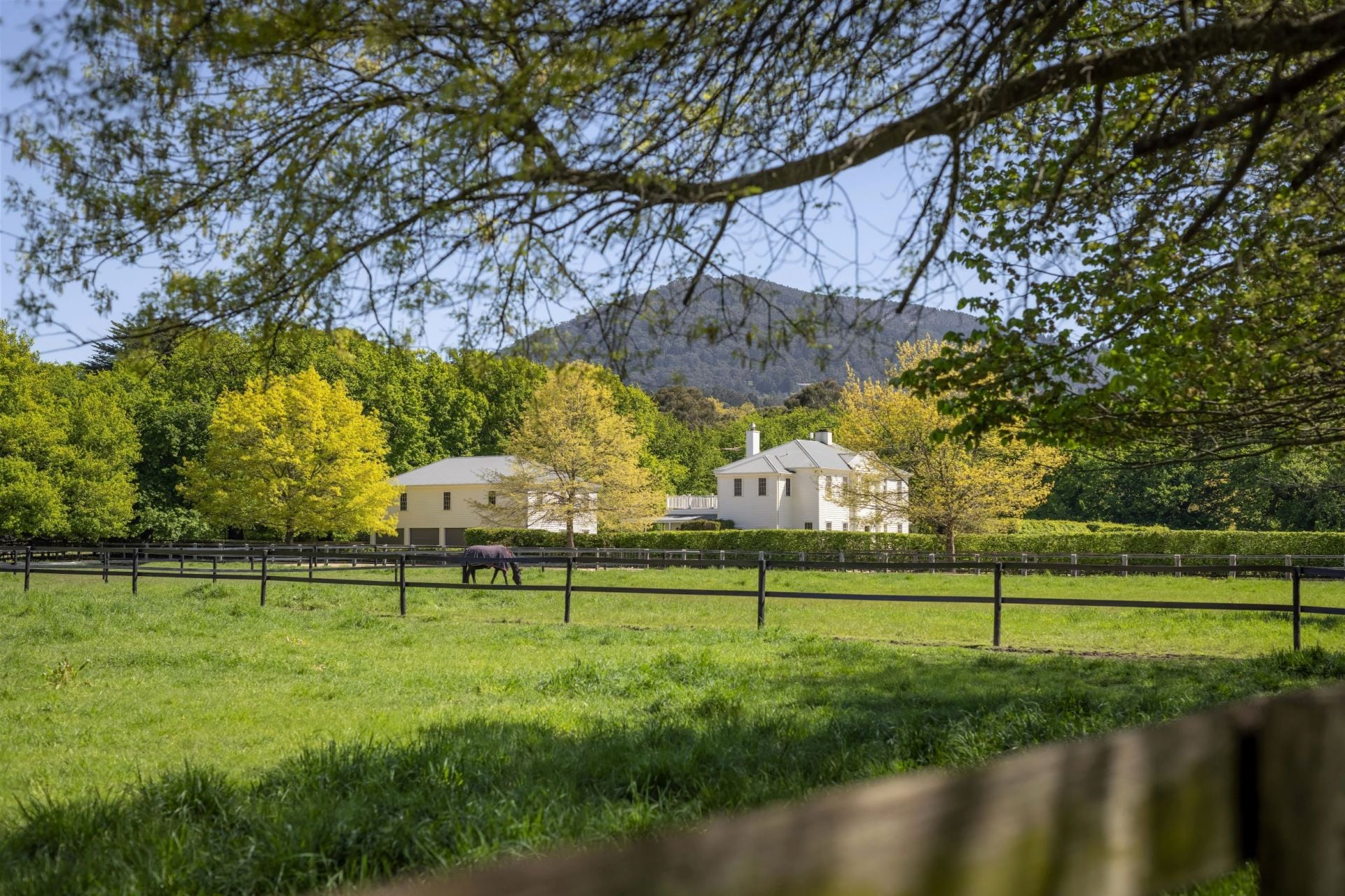 38 Syndicate Road, Mount Macedon, Mount Macedon - Thumbnail 3