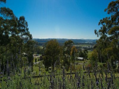 5
 
 
 
  
 
 
 2
 
 
 
  
 
 
 1
 
 
 
 
 
 
 
 57 Squibbs Road, SPREYTON TAS 7310, Spreyton - Thumbnail 8