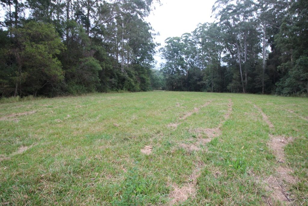 1176 Bellangry Rd, BELLANGRY NSW 2446