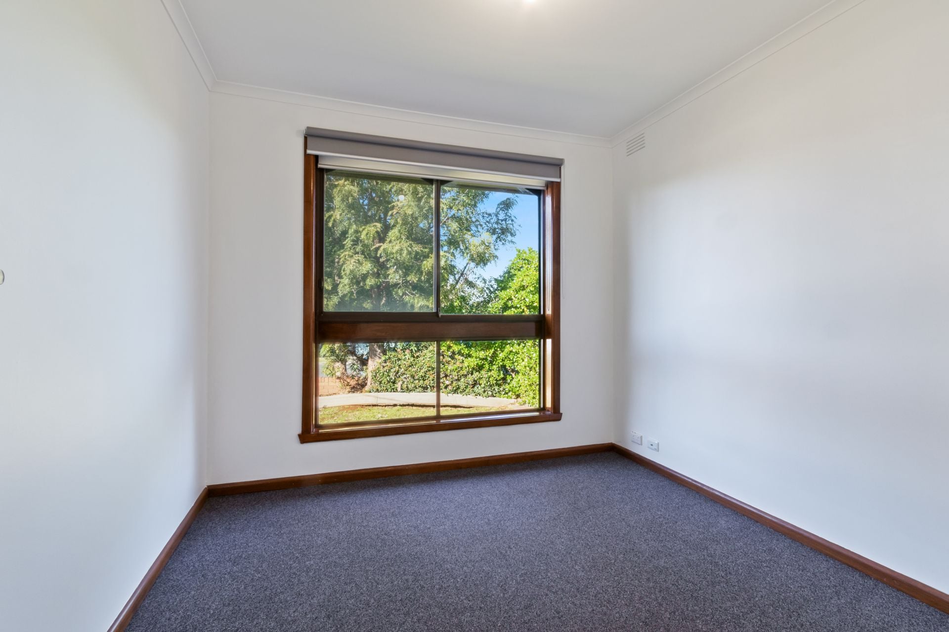 Renovated Delight
