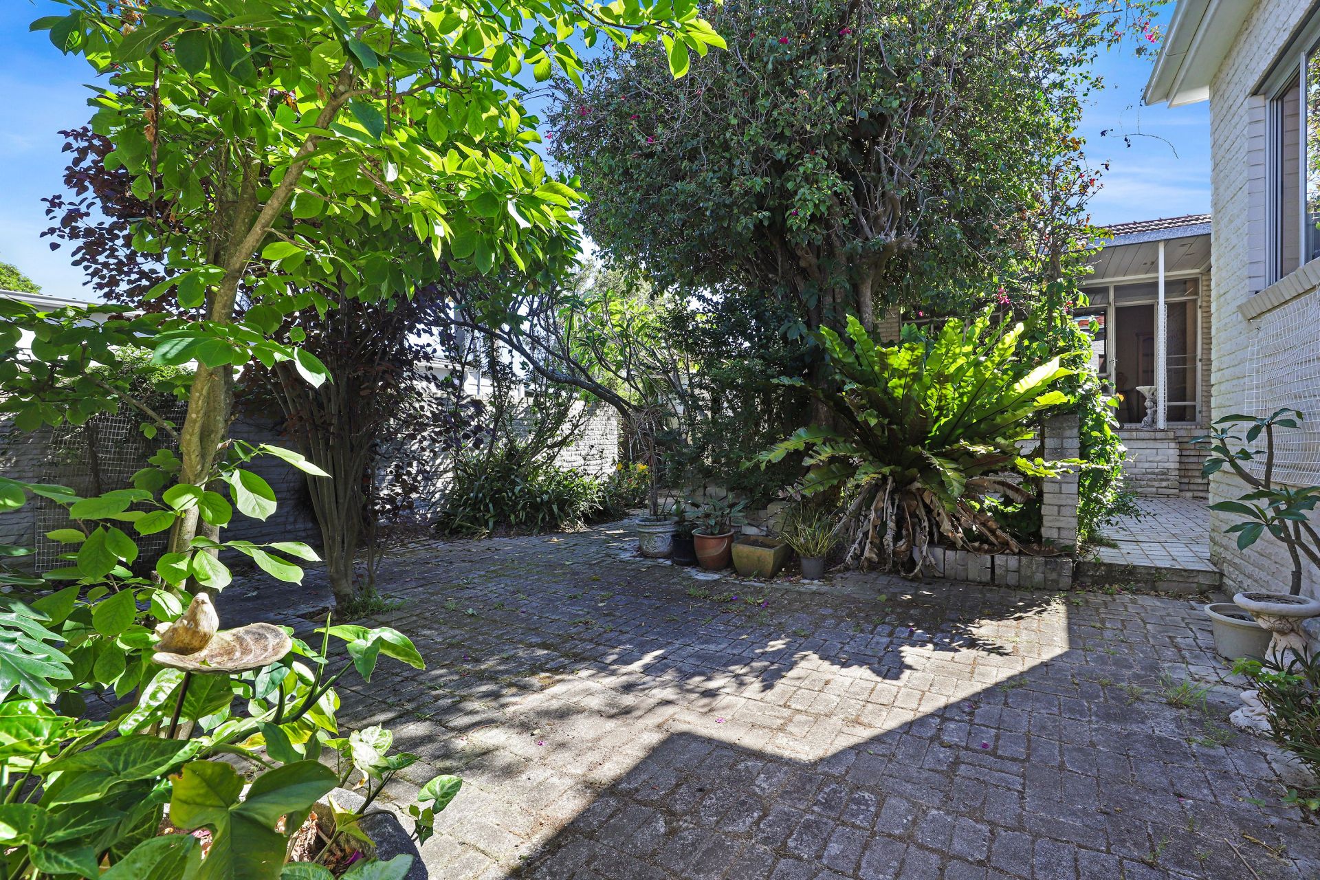 6 Mistletoe Street, Loftus, Loftus - Thumbnail 7