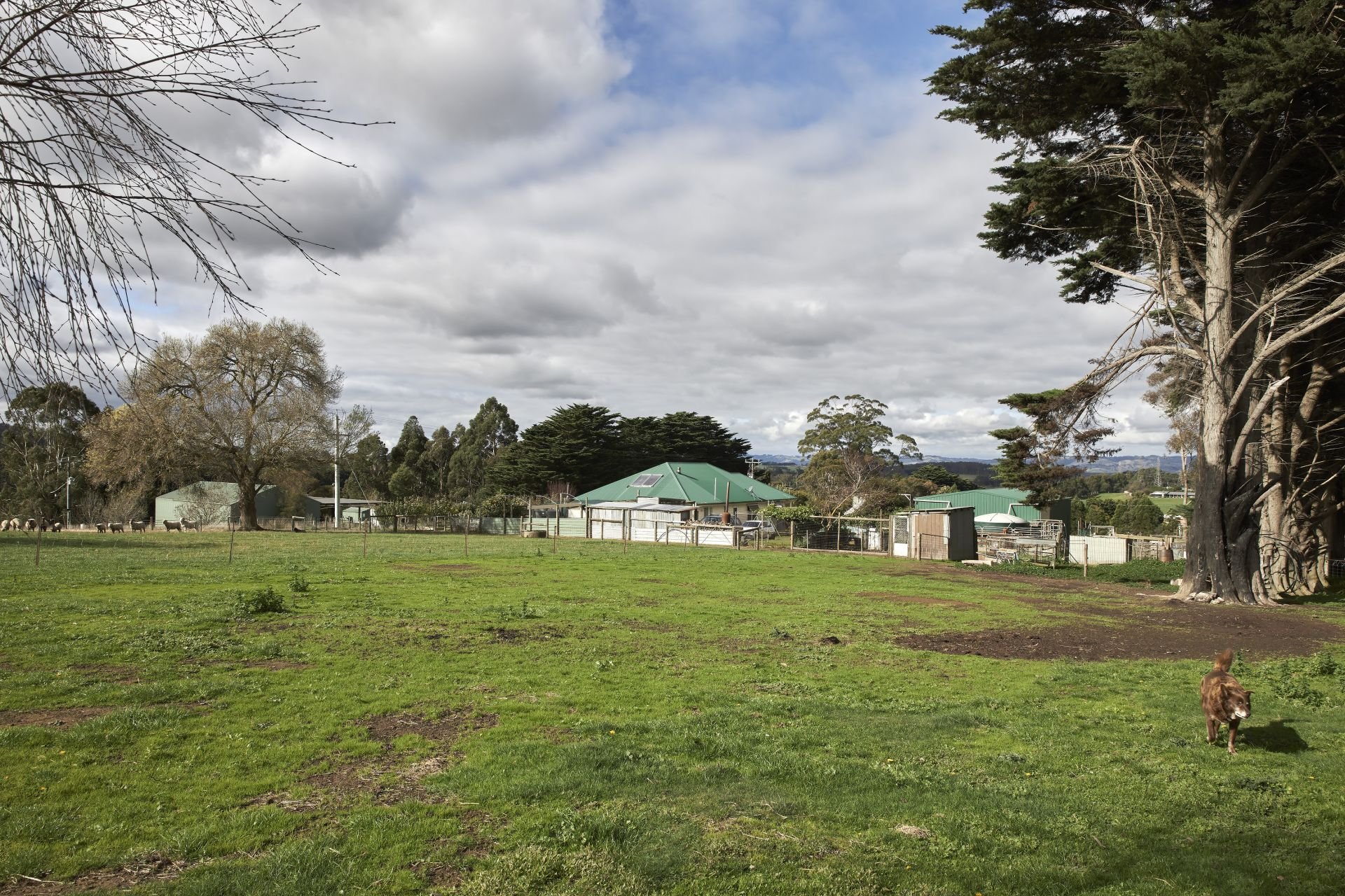 771 Bloomfield Road, Nilma North OBrien Real Estate