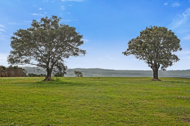349 Balmoral Road MONTVILLE QLD, Montville - Thumbnail 5