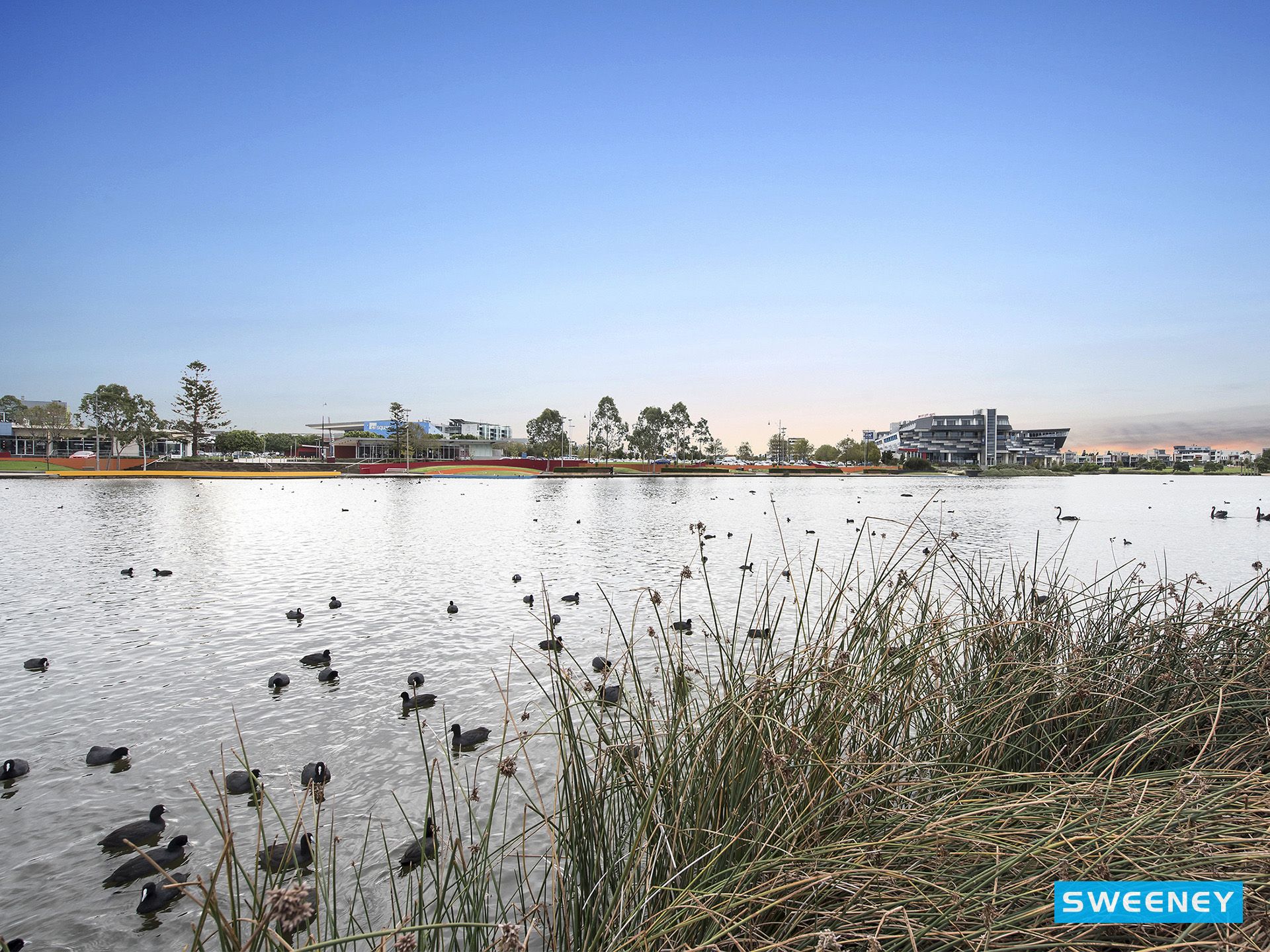 2 Meyers Lane, Caroline Springs - Thumbnail 3