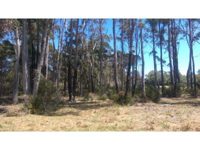 142 Stony Rise Road, STONY RISE, Stony Rise - Thumbnail 2