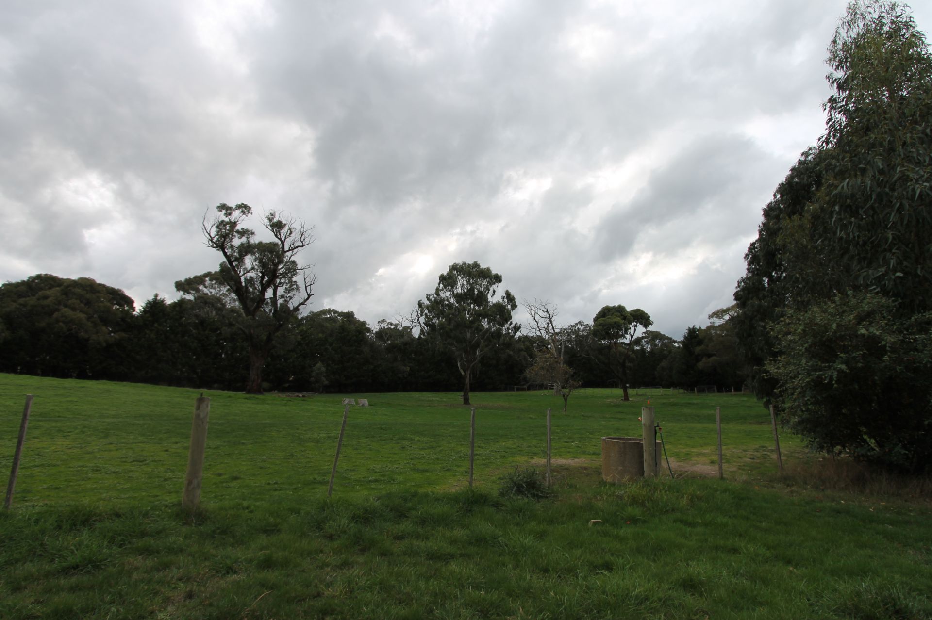 RARE LEASING OPPORTUNITY - 20 ACRES - 8.09 ha