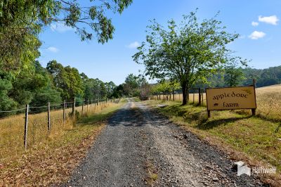 4
 
 
 
  
 
 
 2
 
 
 
  
 
 
 4
 
 
 
 
 
 
 
 1008 Wilmot Road, Kindred TAS 7310, Kindred - Thumbnail 3