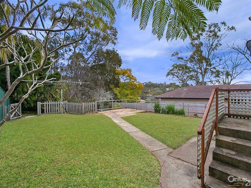 3 Carvers Road, OYSTER BAY, Oyster Bay - Thumbnail 7