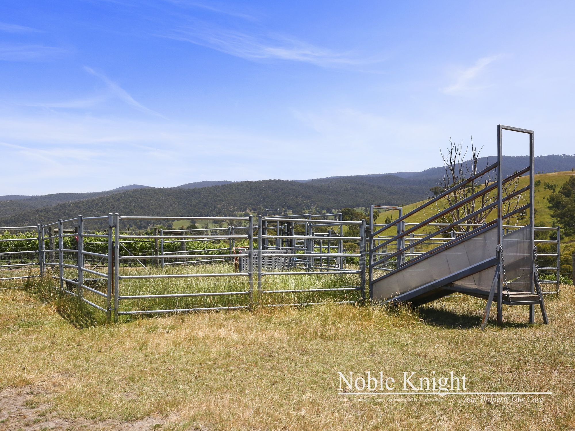 169 Hunts Lane Steels Creek