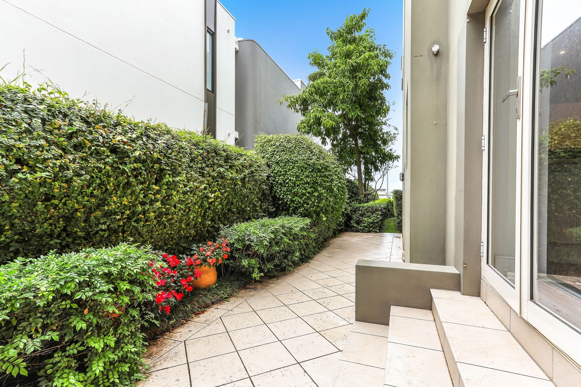 1/22 Etham Avenue, Darling Point, Darling Point - Thumbnail 6