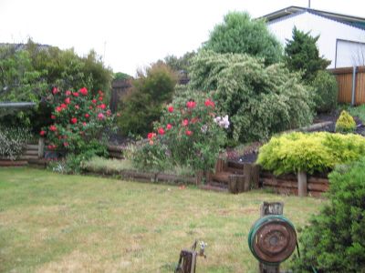 EAST DEVONPORT, EAST DEVONPORT, East Devonport - Thumbnail 5