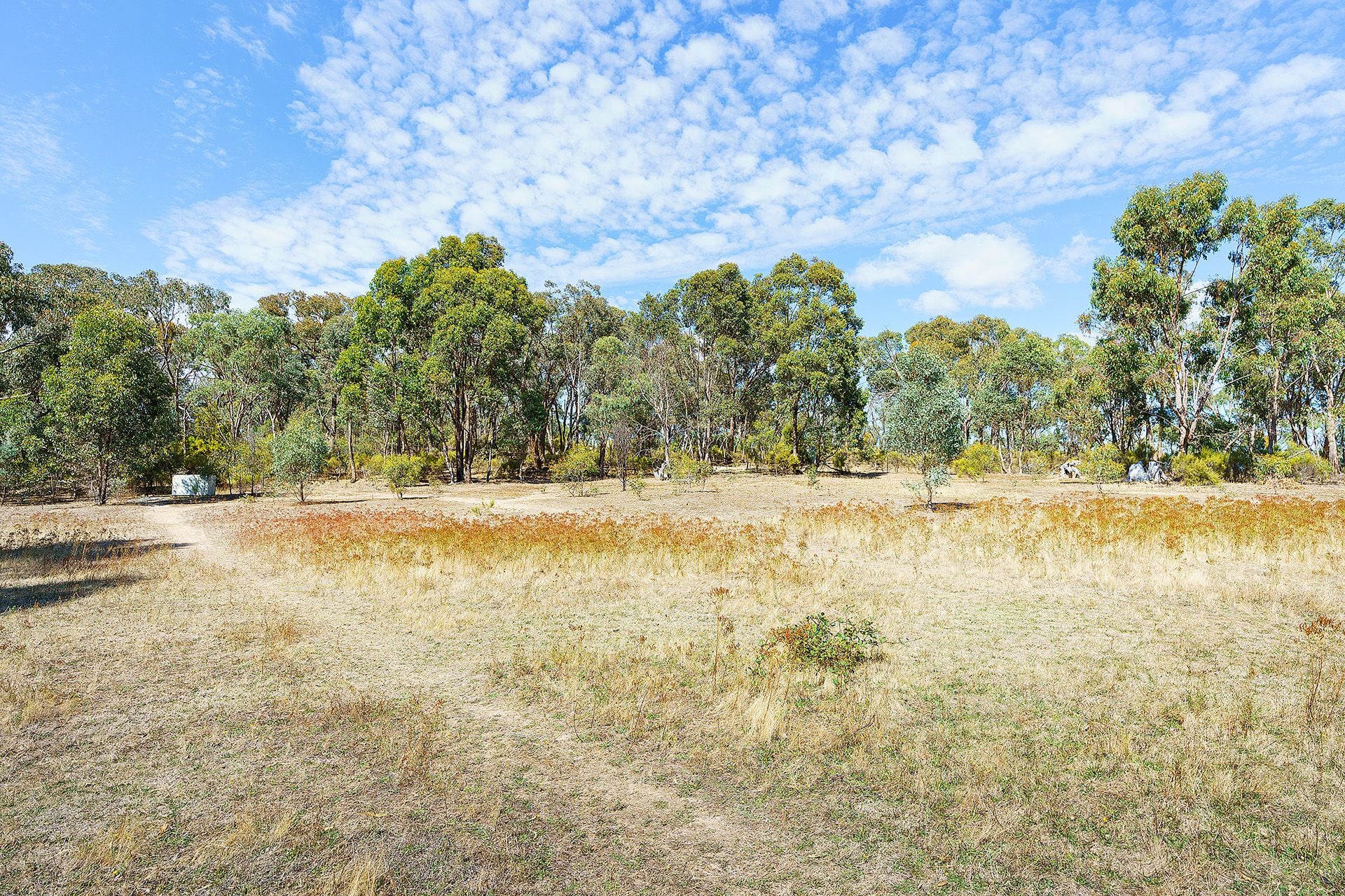 5 Adams Road, Harcourt - Thumbnail 7
