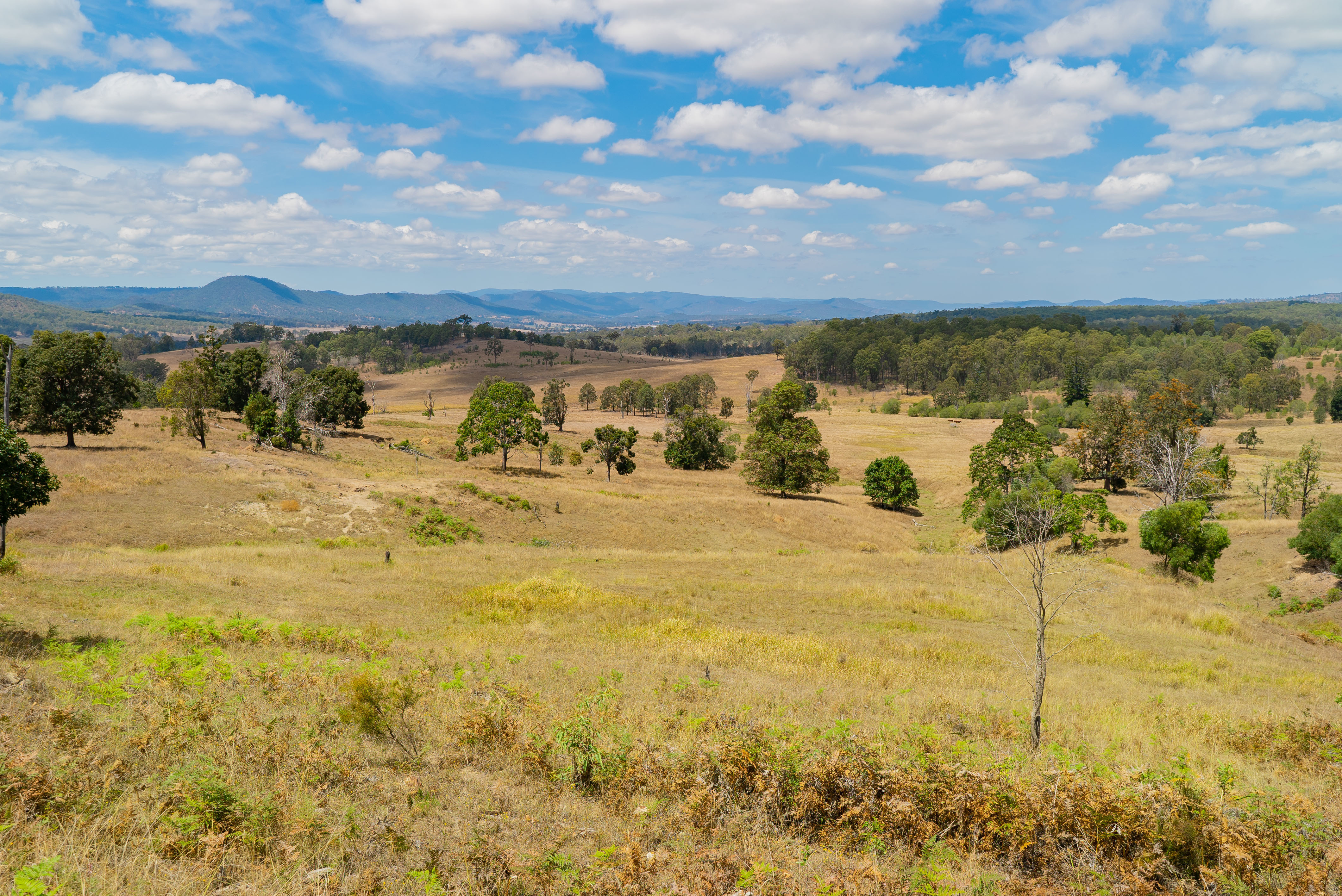 Real Estate For Sale 236 Birnam Range Road Beaudesert , QLD