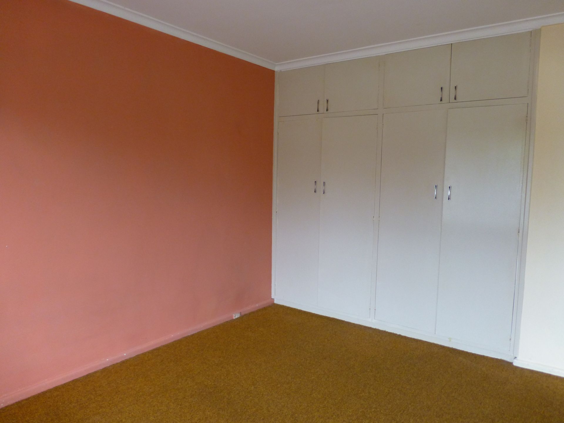 Affordable, Neat & Tidy