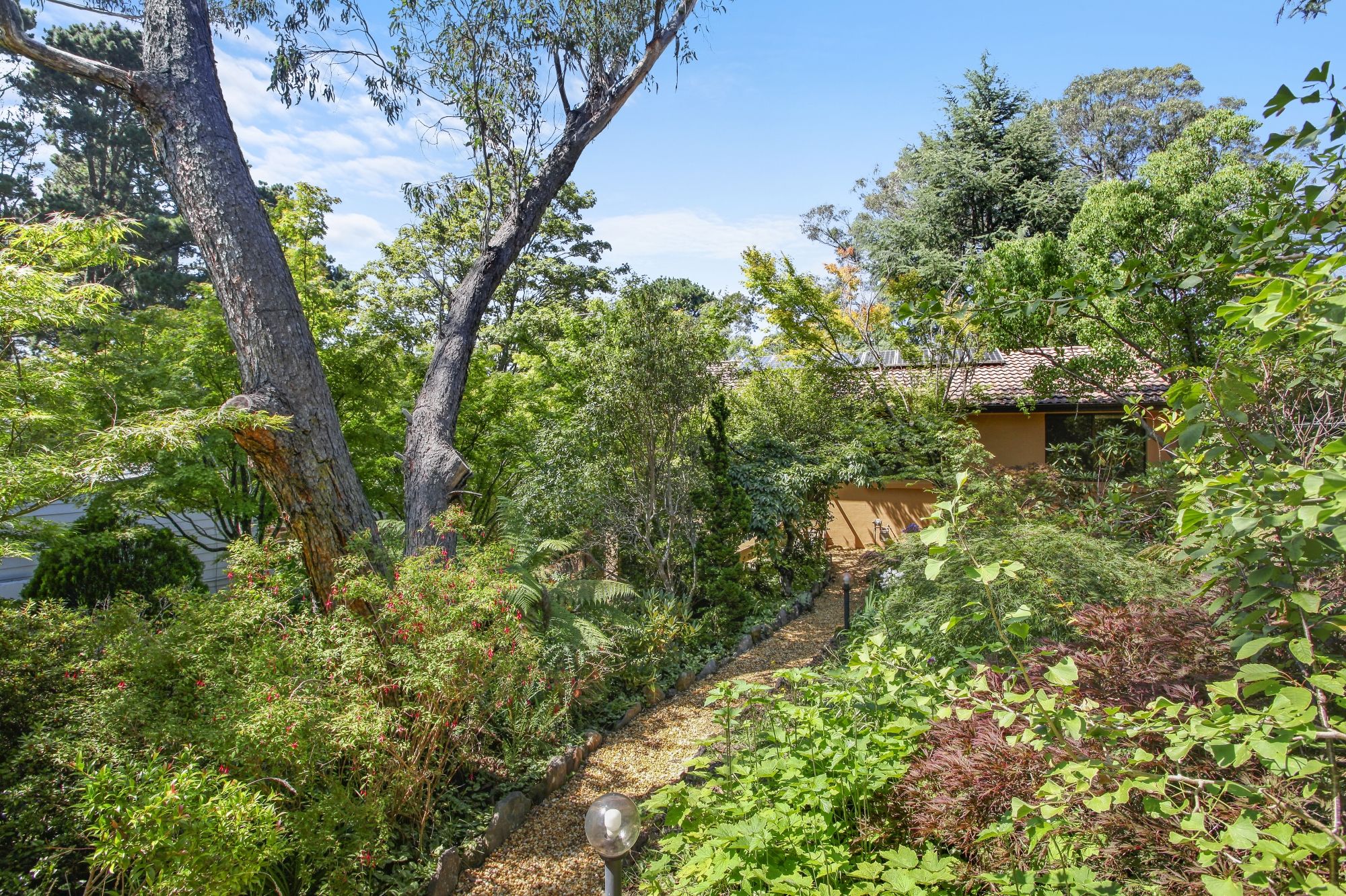 24 Farnells Road Katoomba 2780