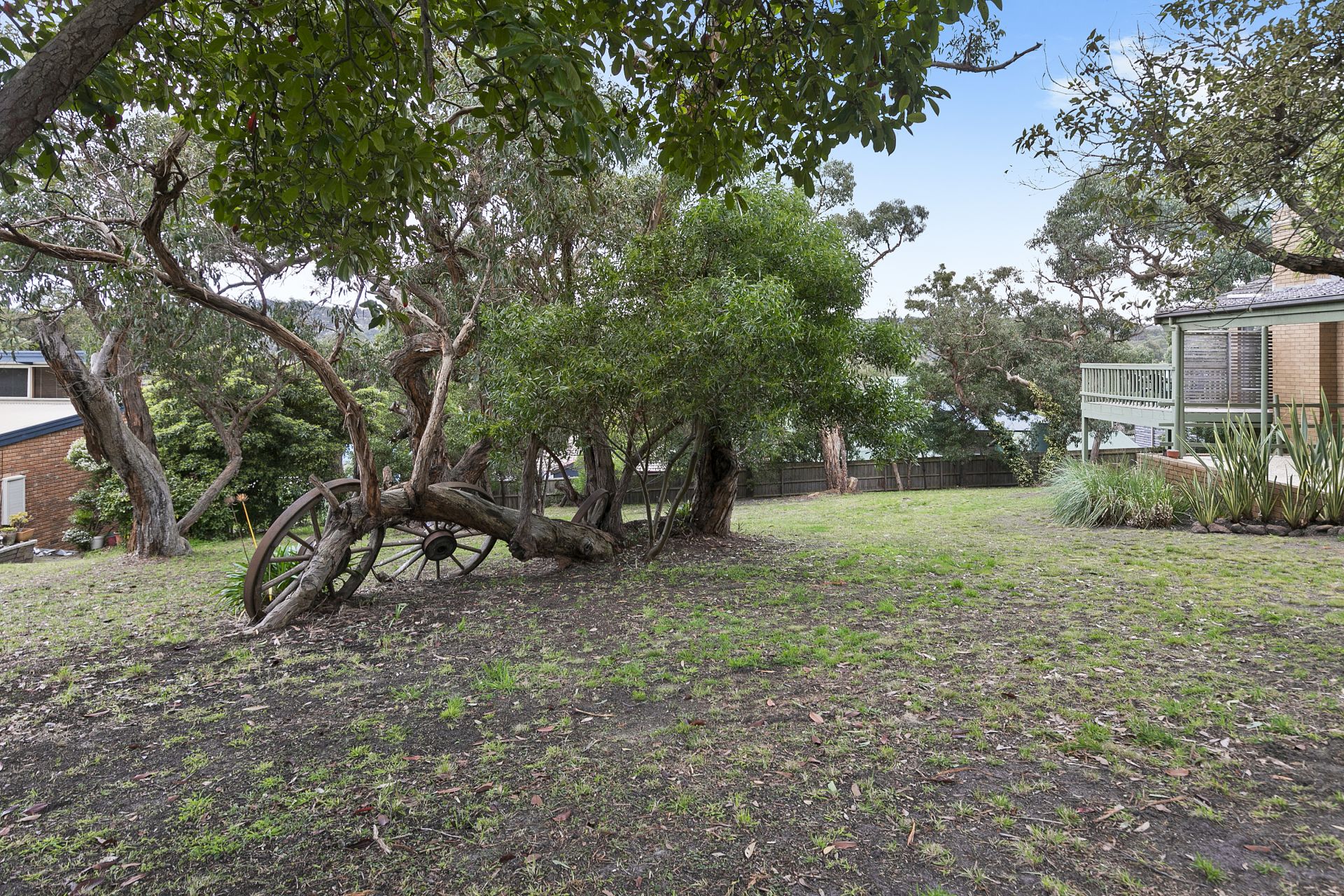10 Hillcrest Road, Anglesea - Thumbnail 5