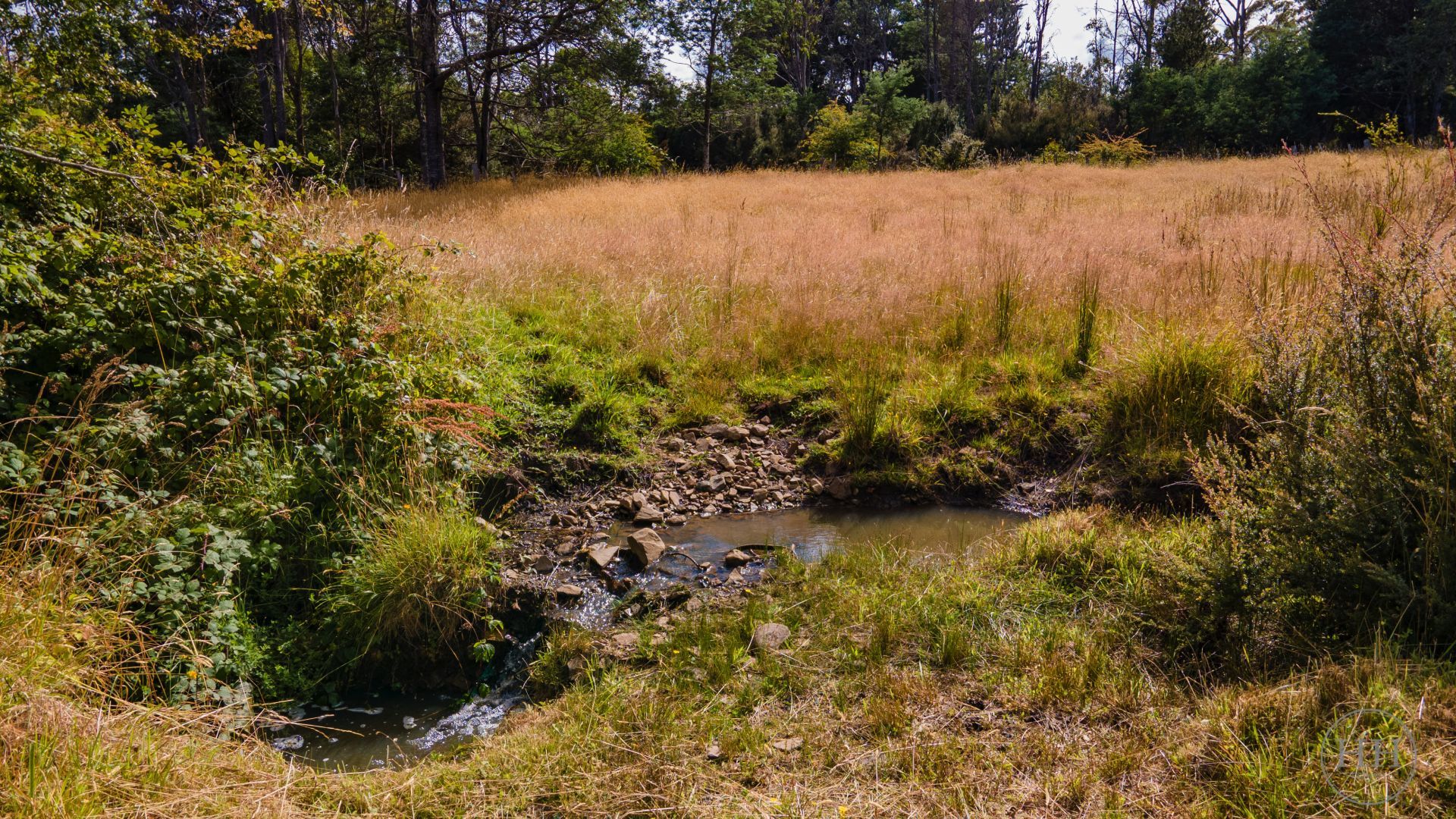 39080 Tasman Highway Nunamara, Nunamara - Thumbnail 7