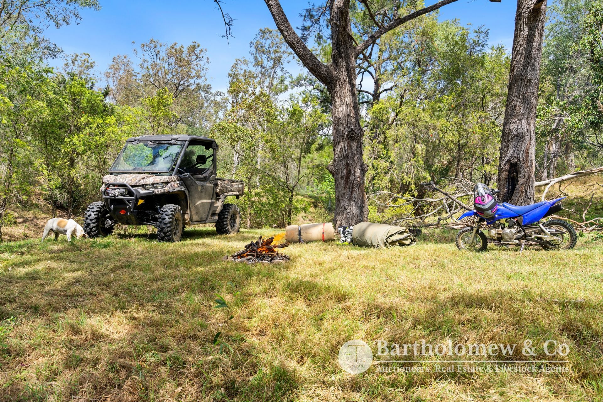 Upper Allan Creek Road Bromelton QLD, Bromelton - Thumbnail 5