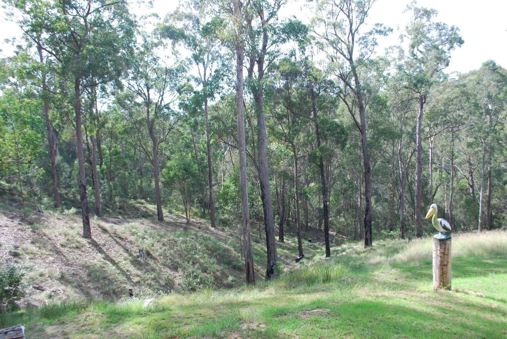 8 Ferngully Lane, Millingandi