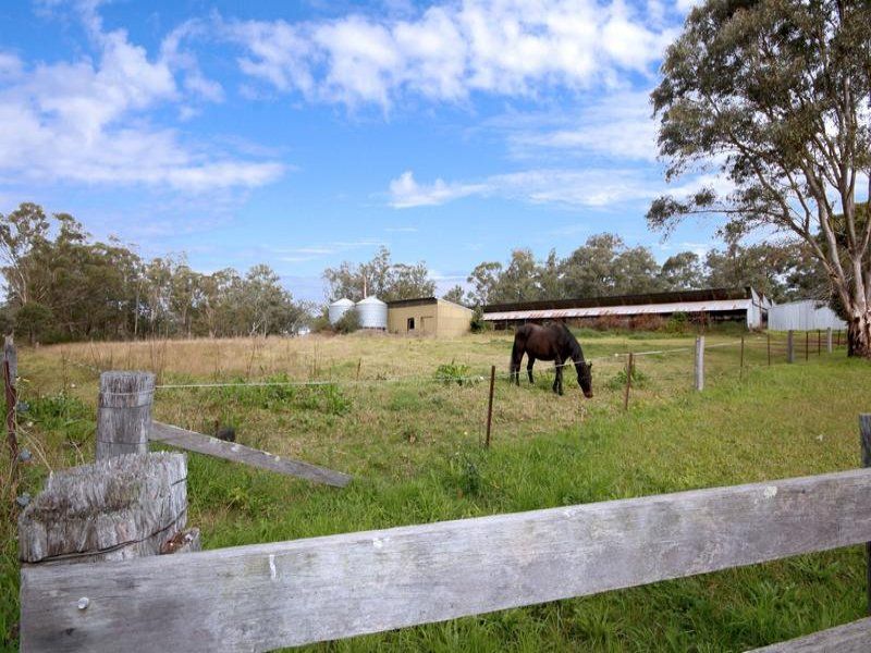 115 Kurmond Road, Wilberforce - Thumbnail 4